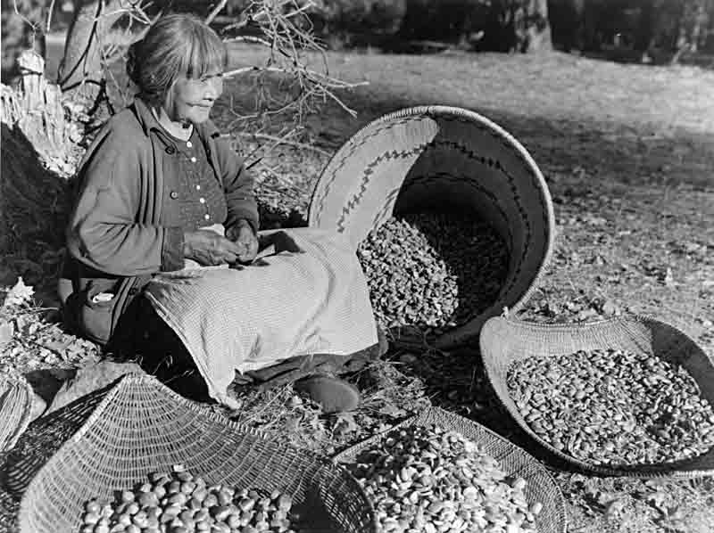 Maggie-Howard-Tabuce-preparing-acorns-Yosemite-Library