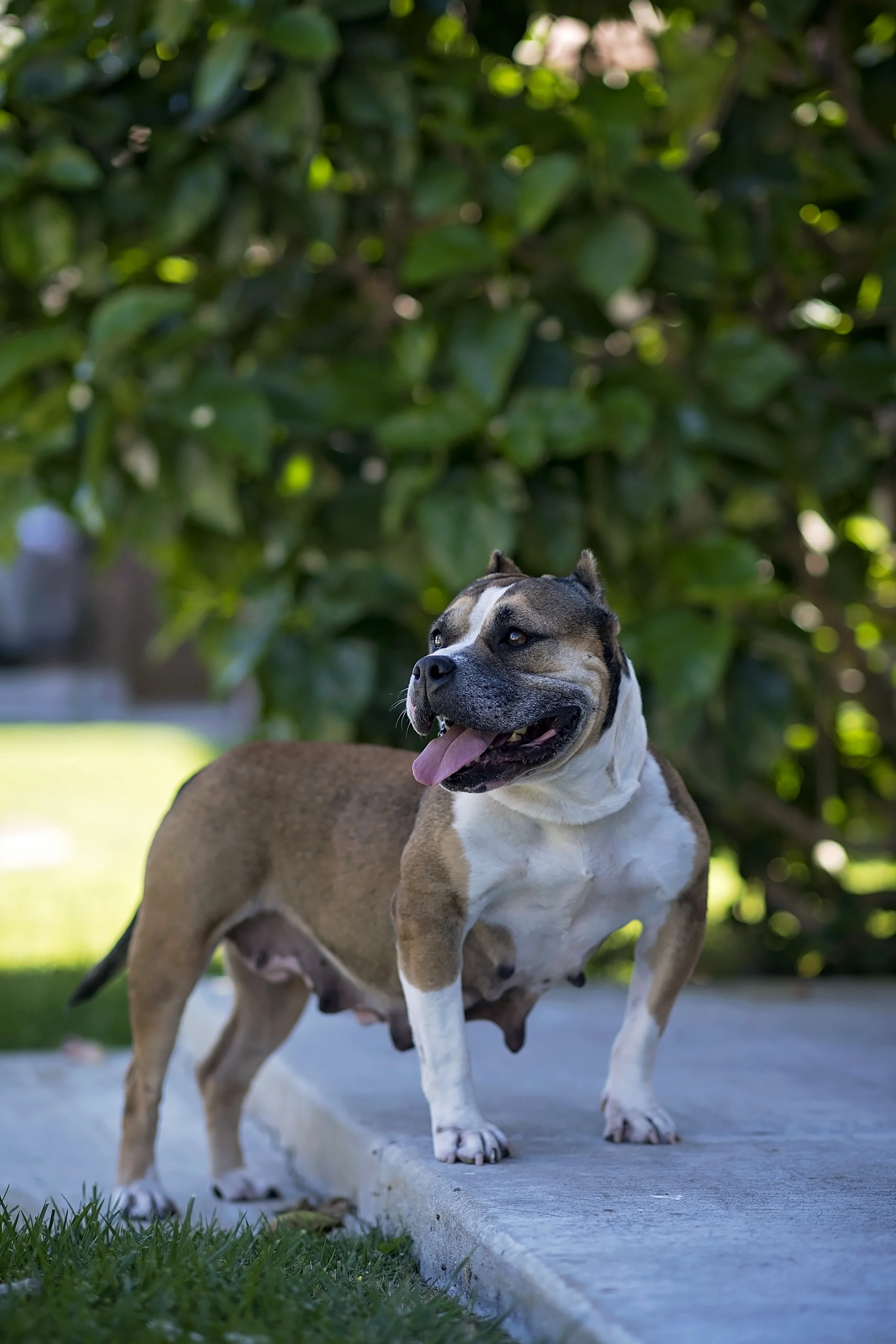 DSC_8622.jpg