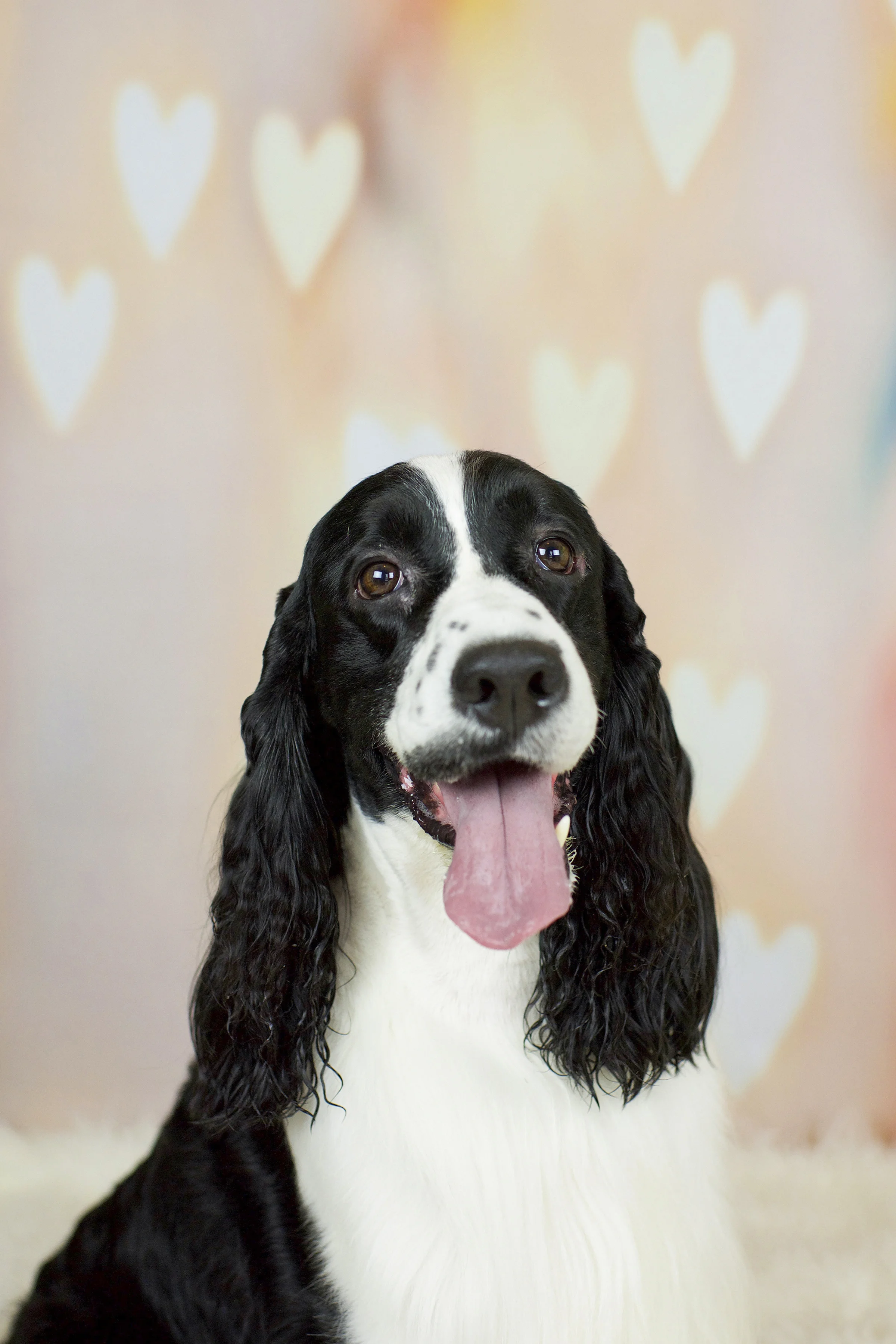 2018-0210_Dexter's Deli 18.jpg