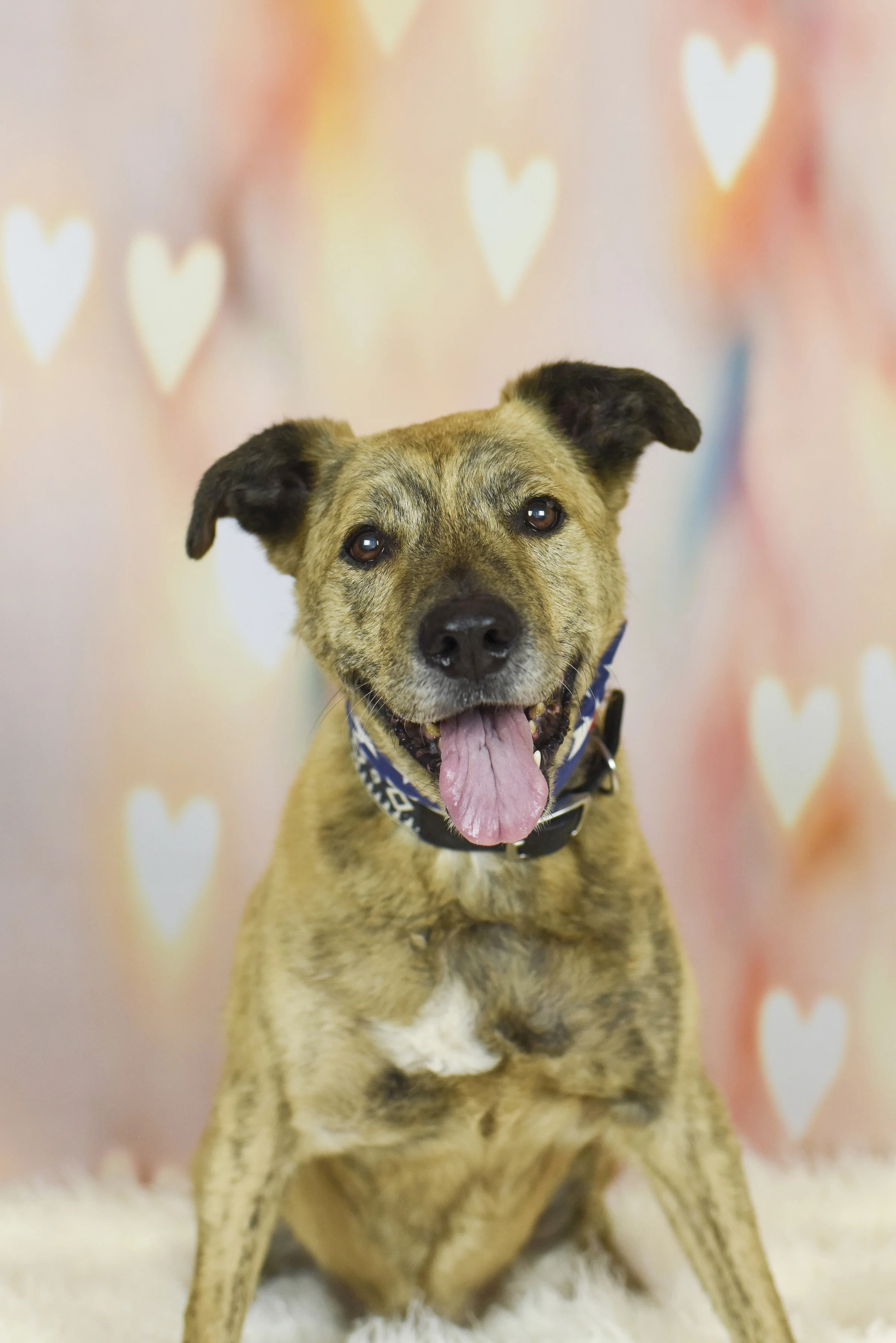 2018-0210_Dexter's Deli 24.jpg