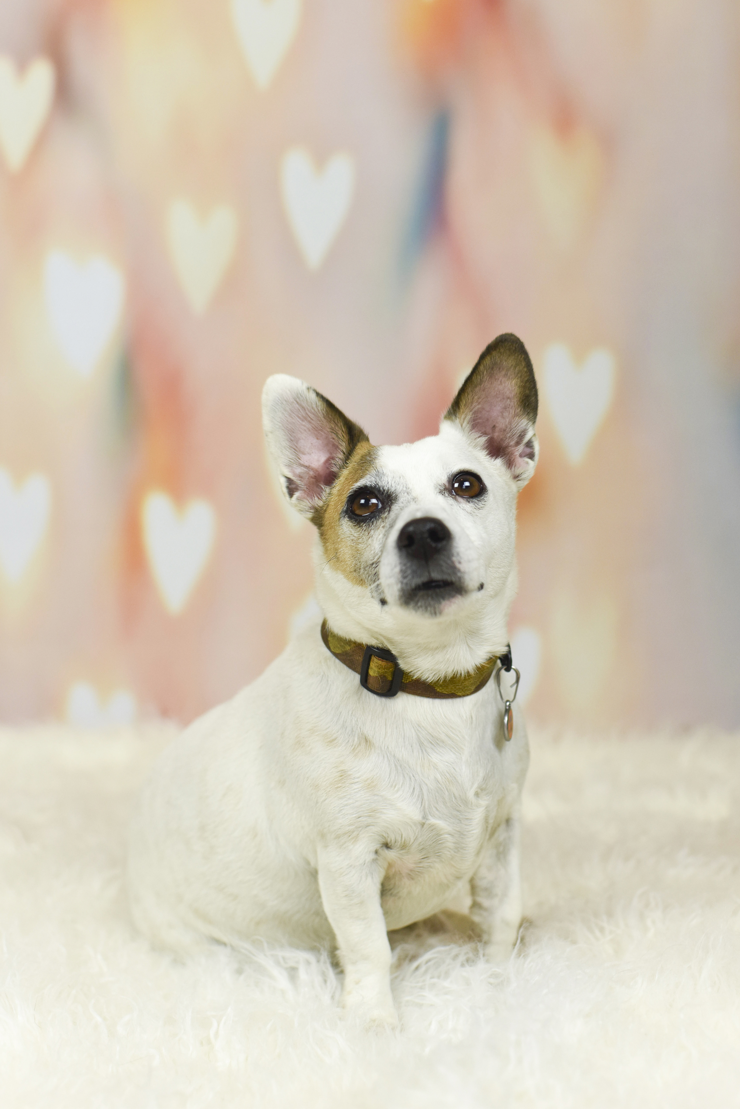 2018-0210_Dexter's Deli 31.jpg