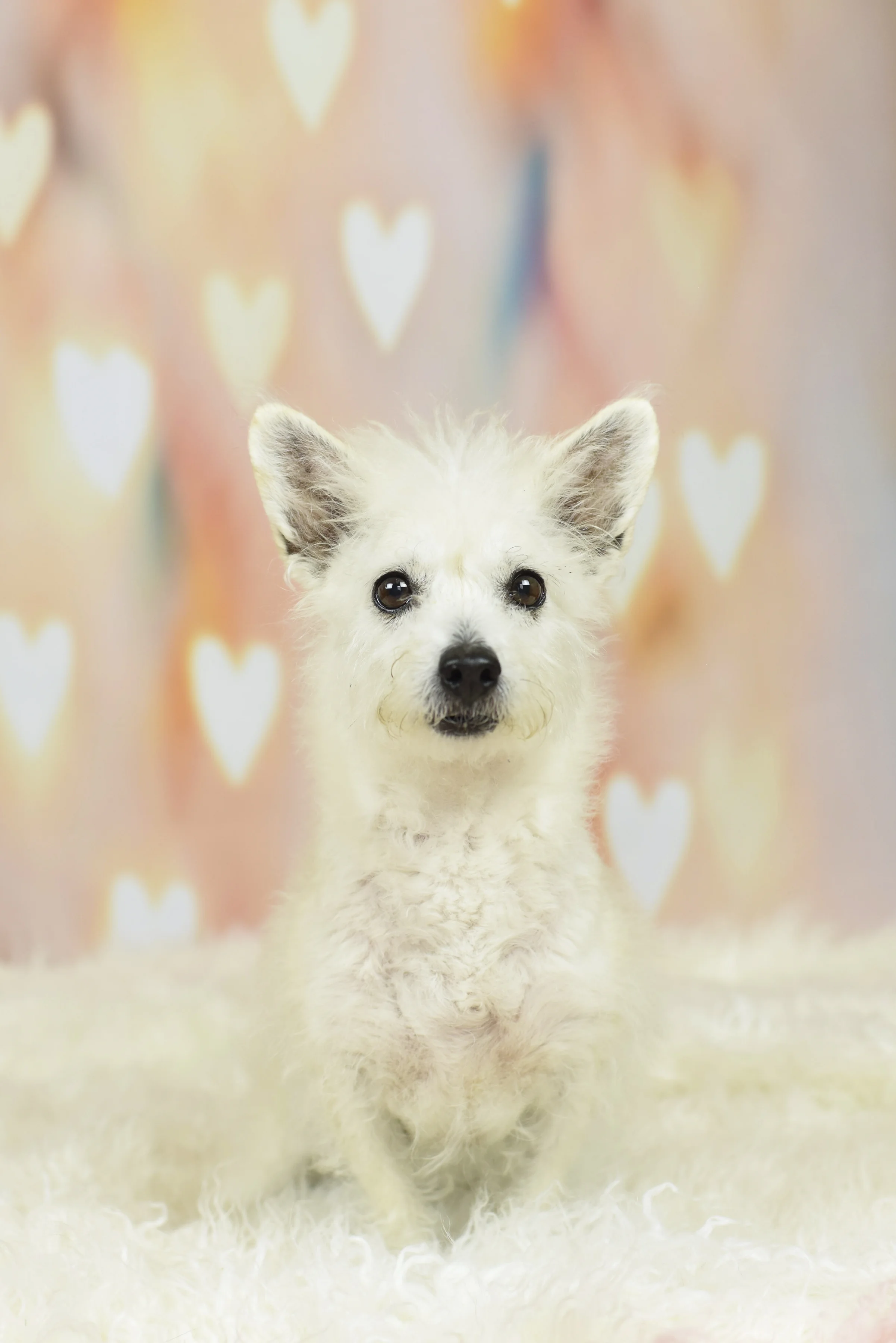 2018-0210_Dexter's Deli 36.jpg