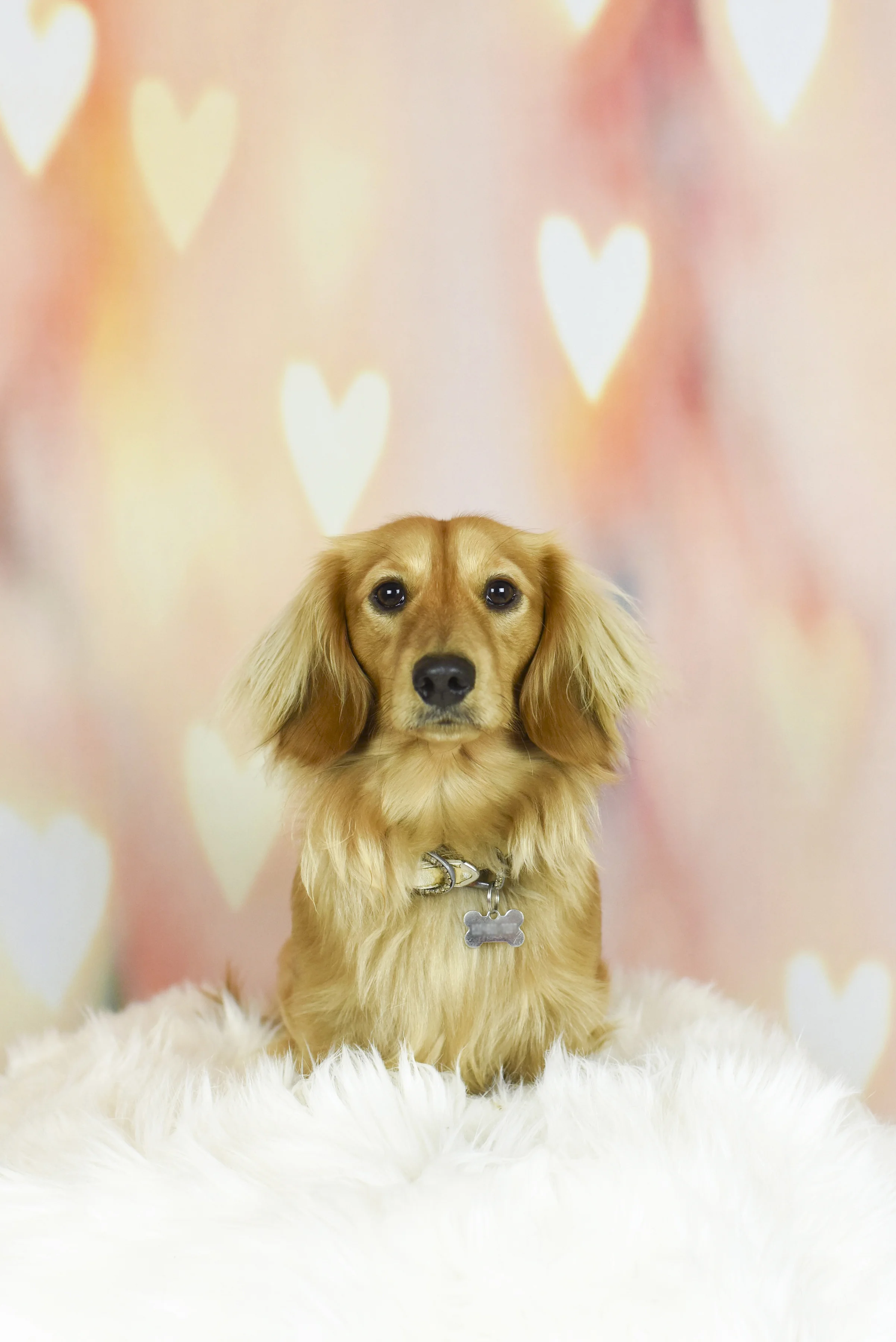 2018-0210_Dexter's Deli 40.jpg