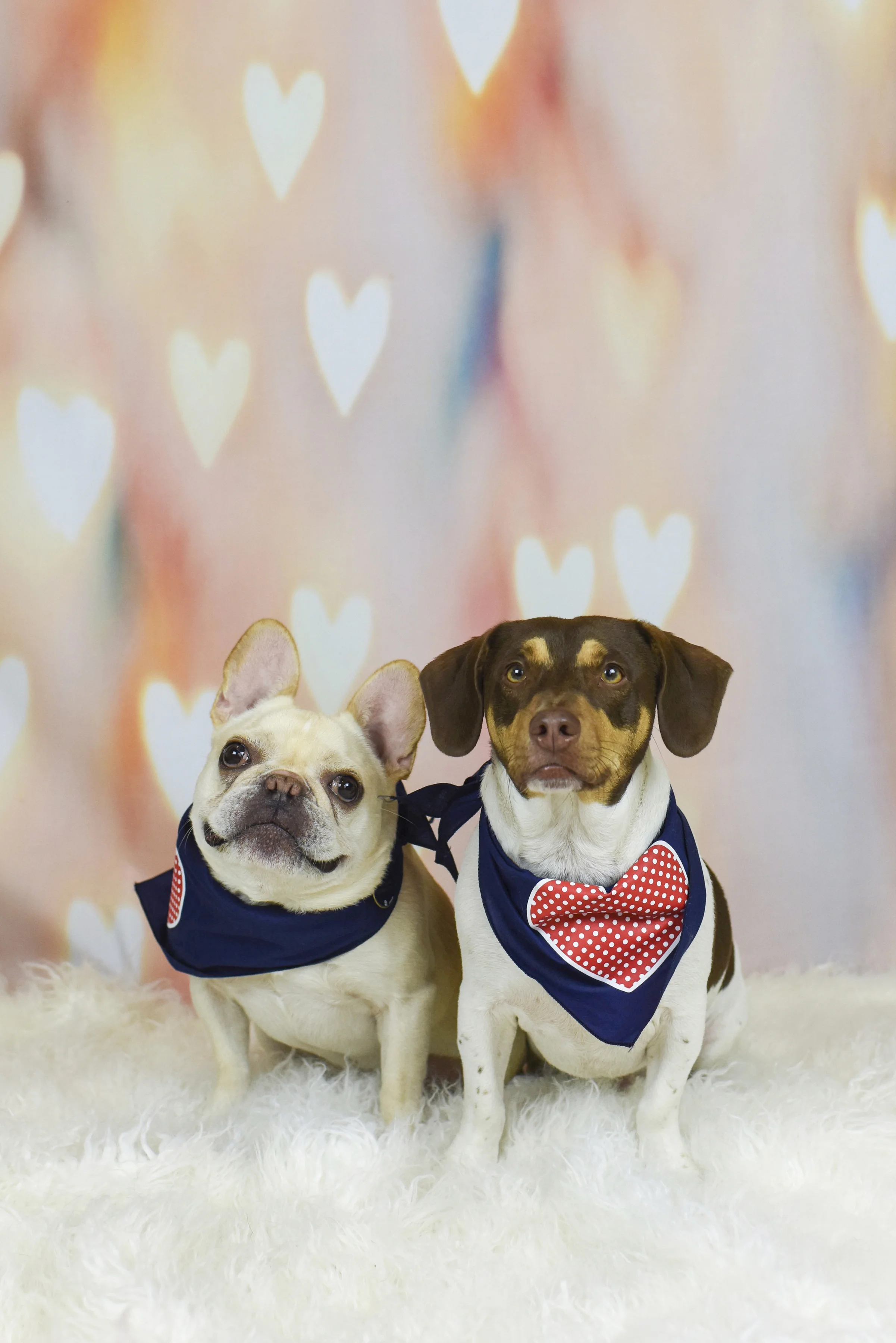 2018-0210_Dexter's Deli 42.jpg