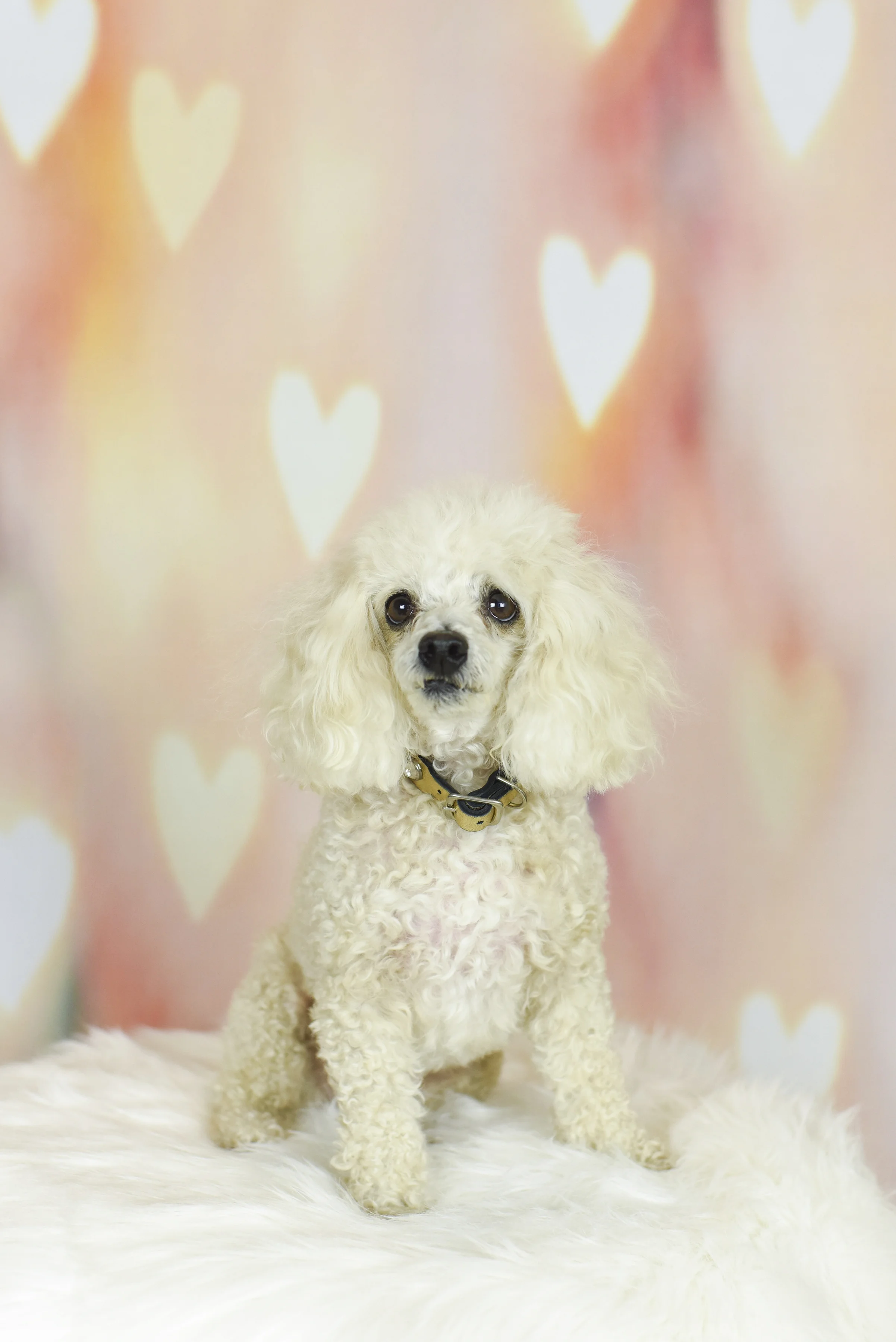 2018-0210_Dexter's Deli 54.jpg