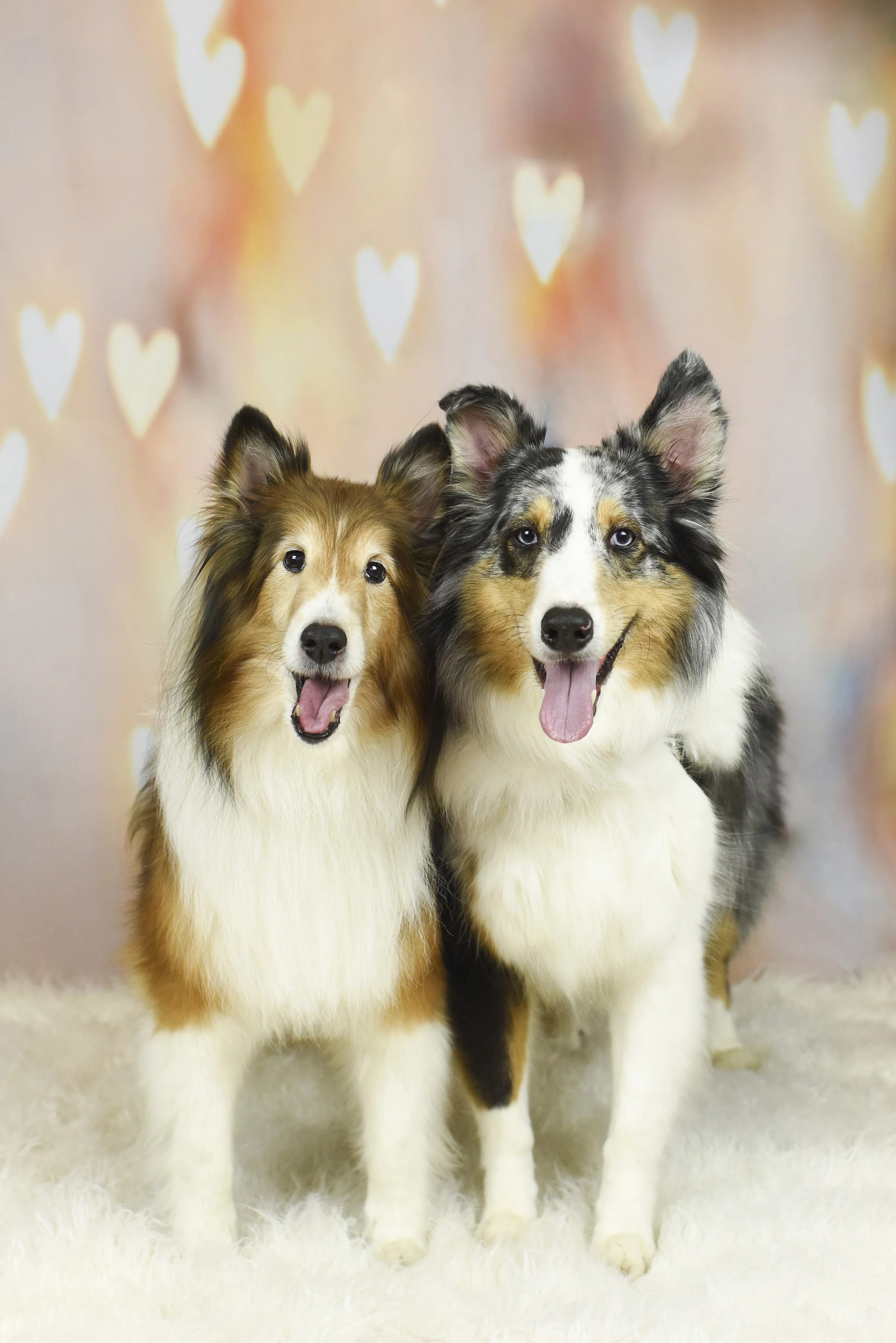 2018-0210_Dexter's Deli 56.jpg