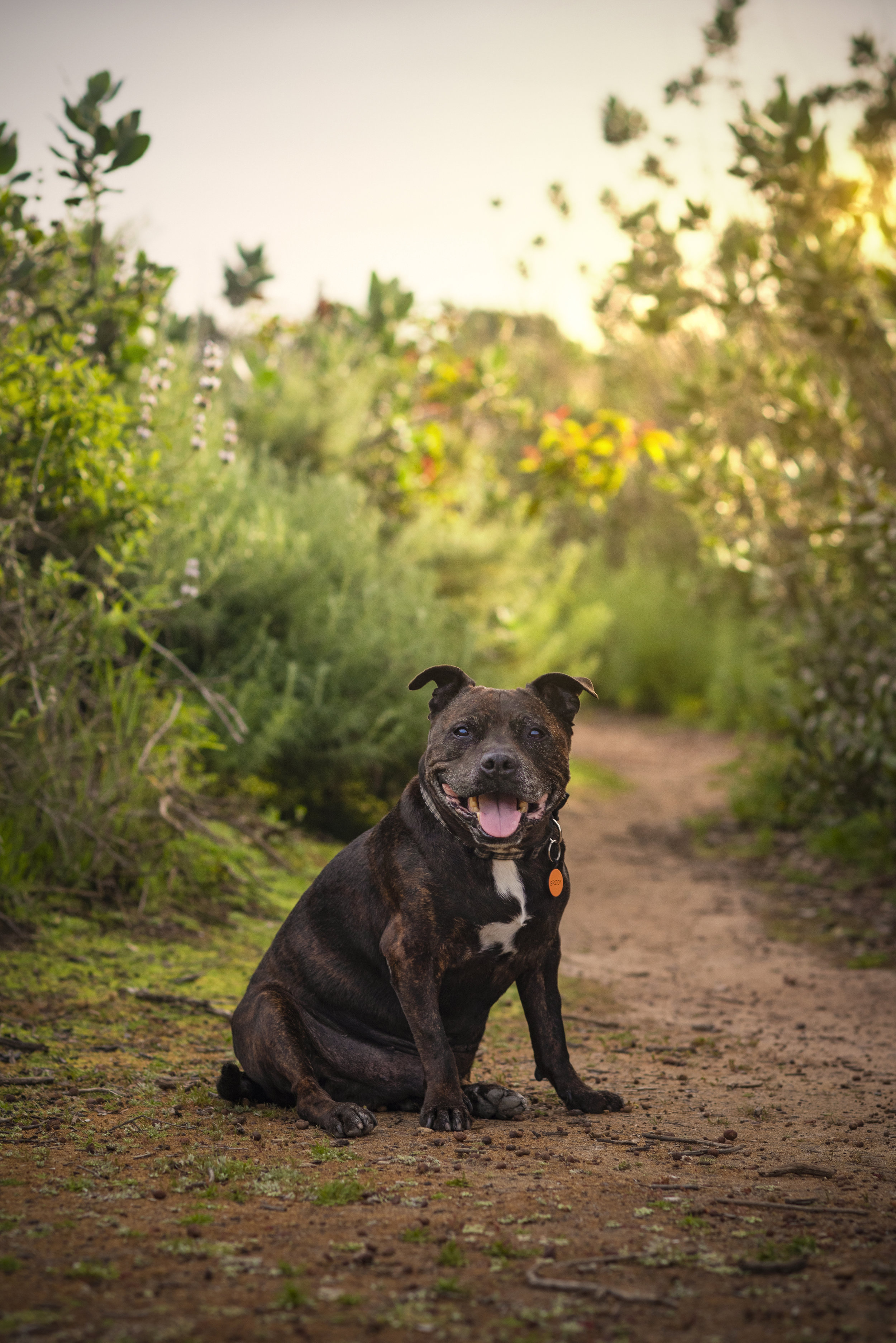2019-0331_Alicia & Brody  (2).jpg