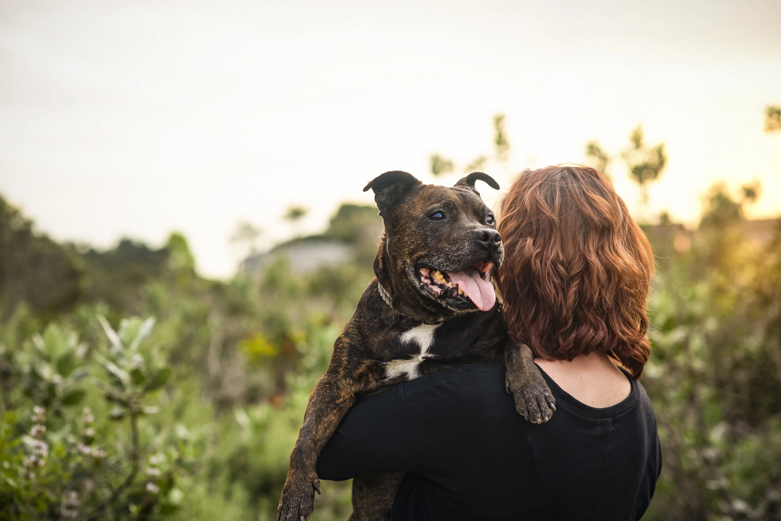 2019-0331_Alicia & Brody  (4).jpg