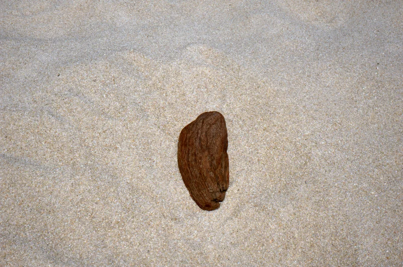 beachphone_08.jpg