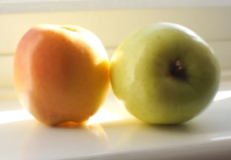 Circle of Life - Commercial for Quantum Waste