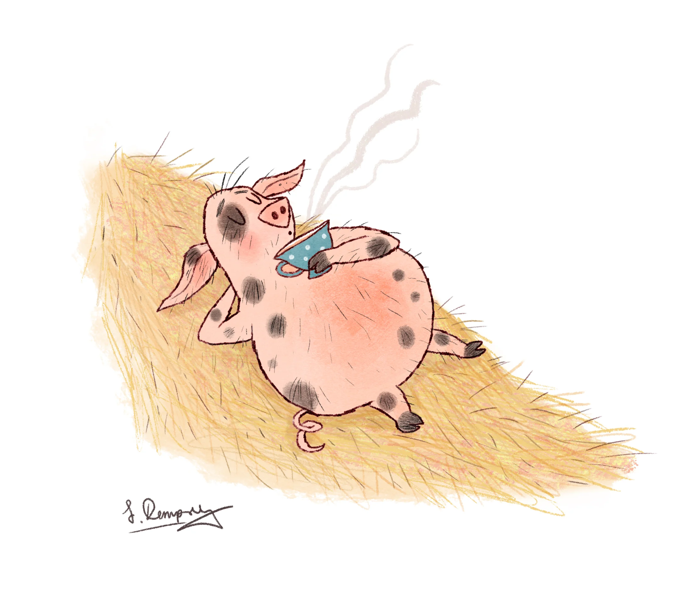 Pot bellied pig.jpg