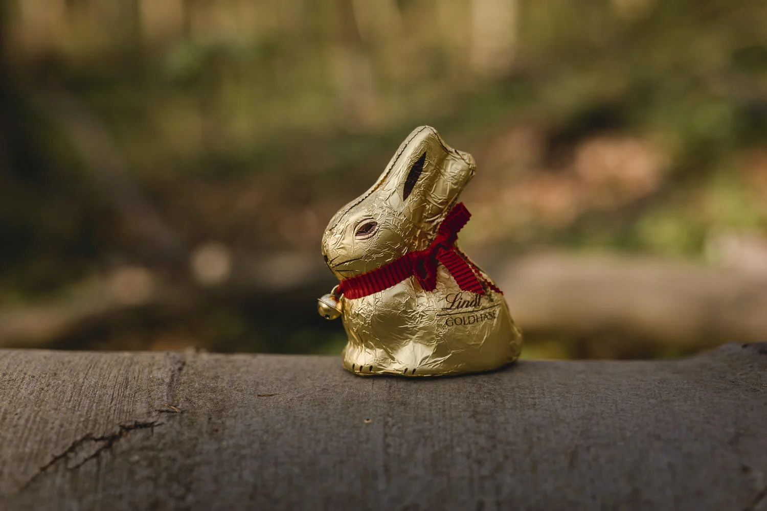 Foto 1x1 Fur Kinder Nadine Saupper Photography
