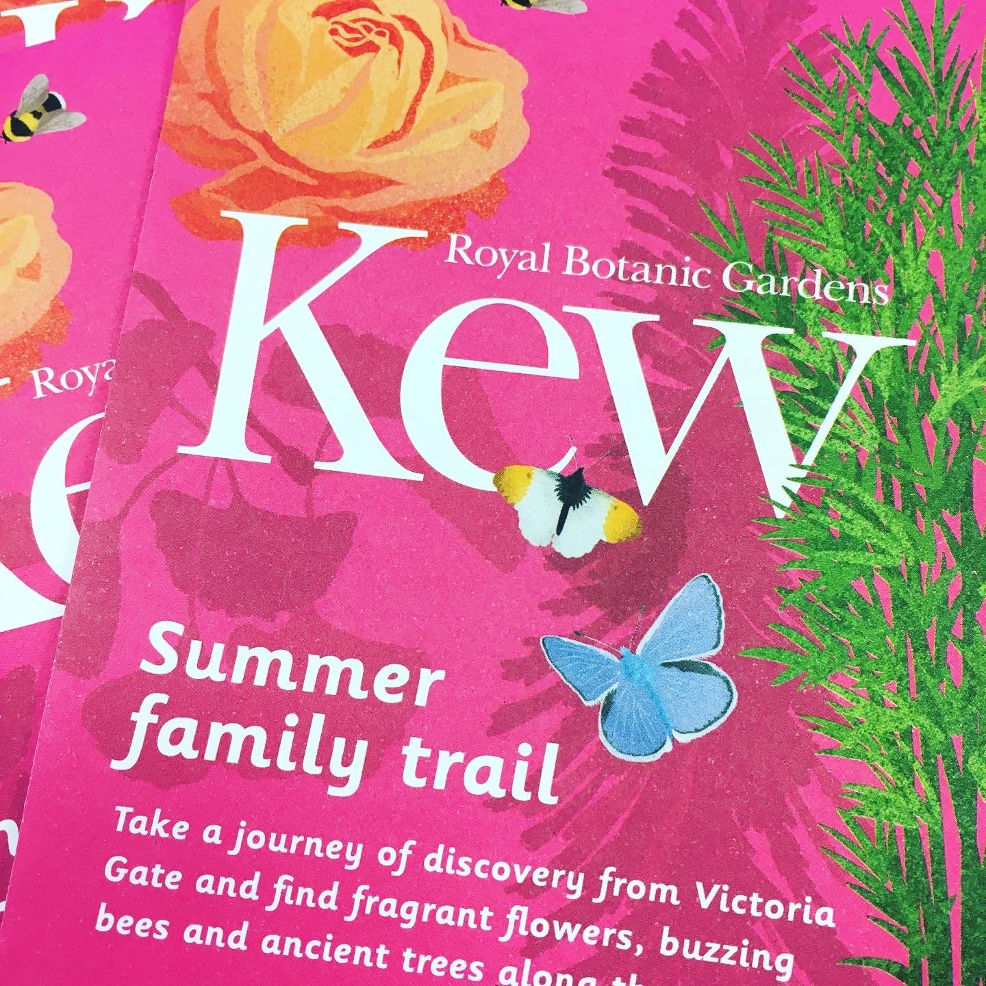 Seasonal family trail guides, RBG Kew
