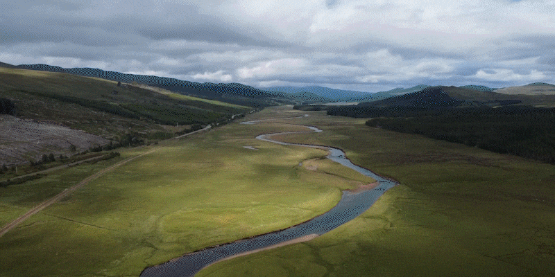 Giff for site 01_1 (1).gif