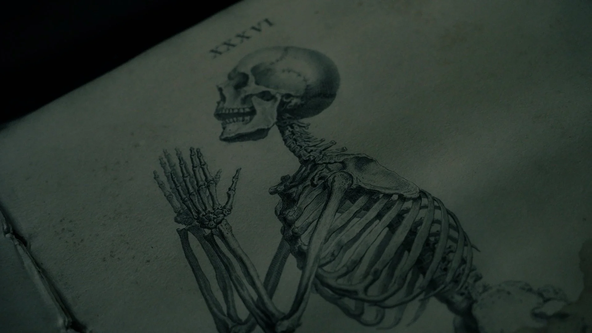 HH Medieval Ghosts [Edit 11] [H264].00_00_51_15.Still008.jpg