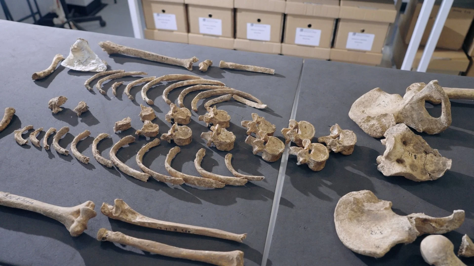 HH Medieval Ghosts [Edit 11] [H264].00_01_00_20.Still012.jpg