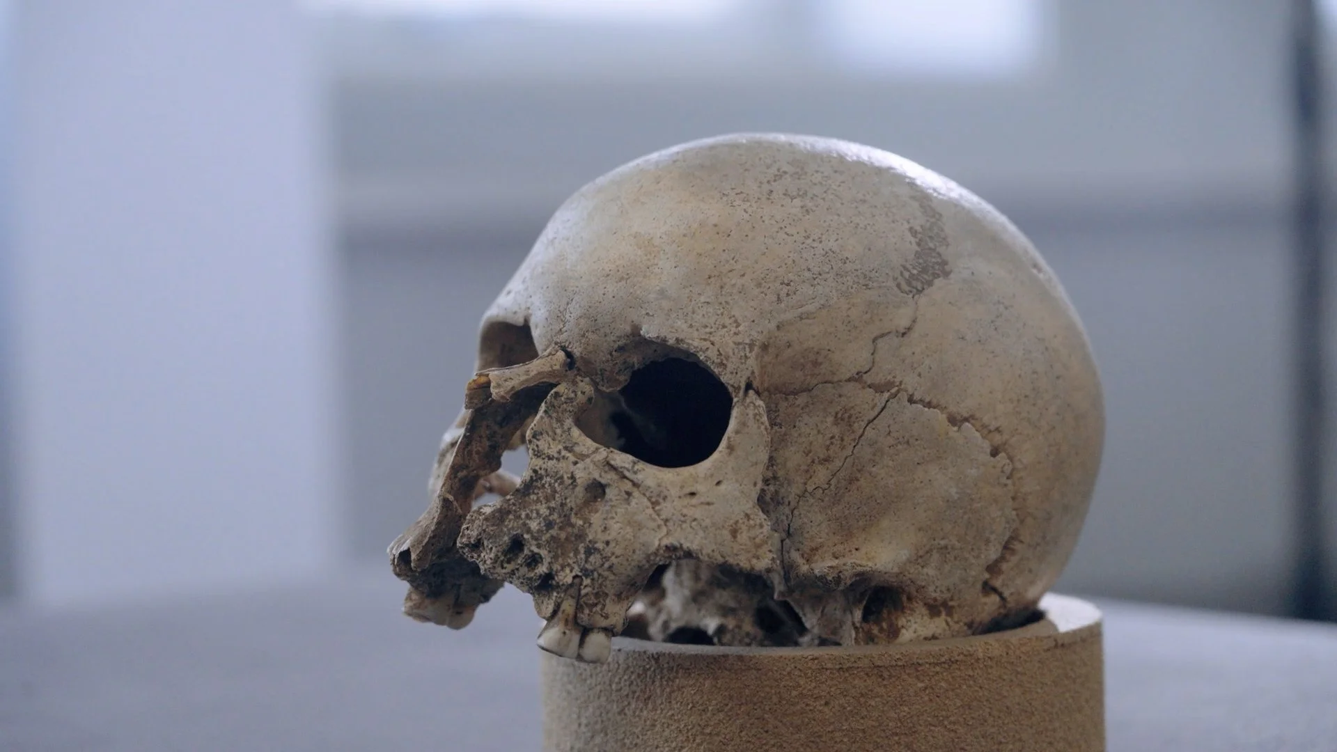 HH Medieval Ghosts [Edit 11] [H264].mp4.00_24_08_08.Still014.jpg