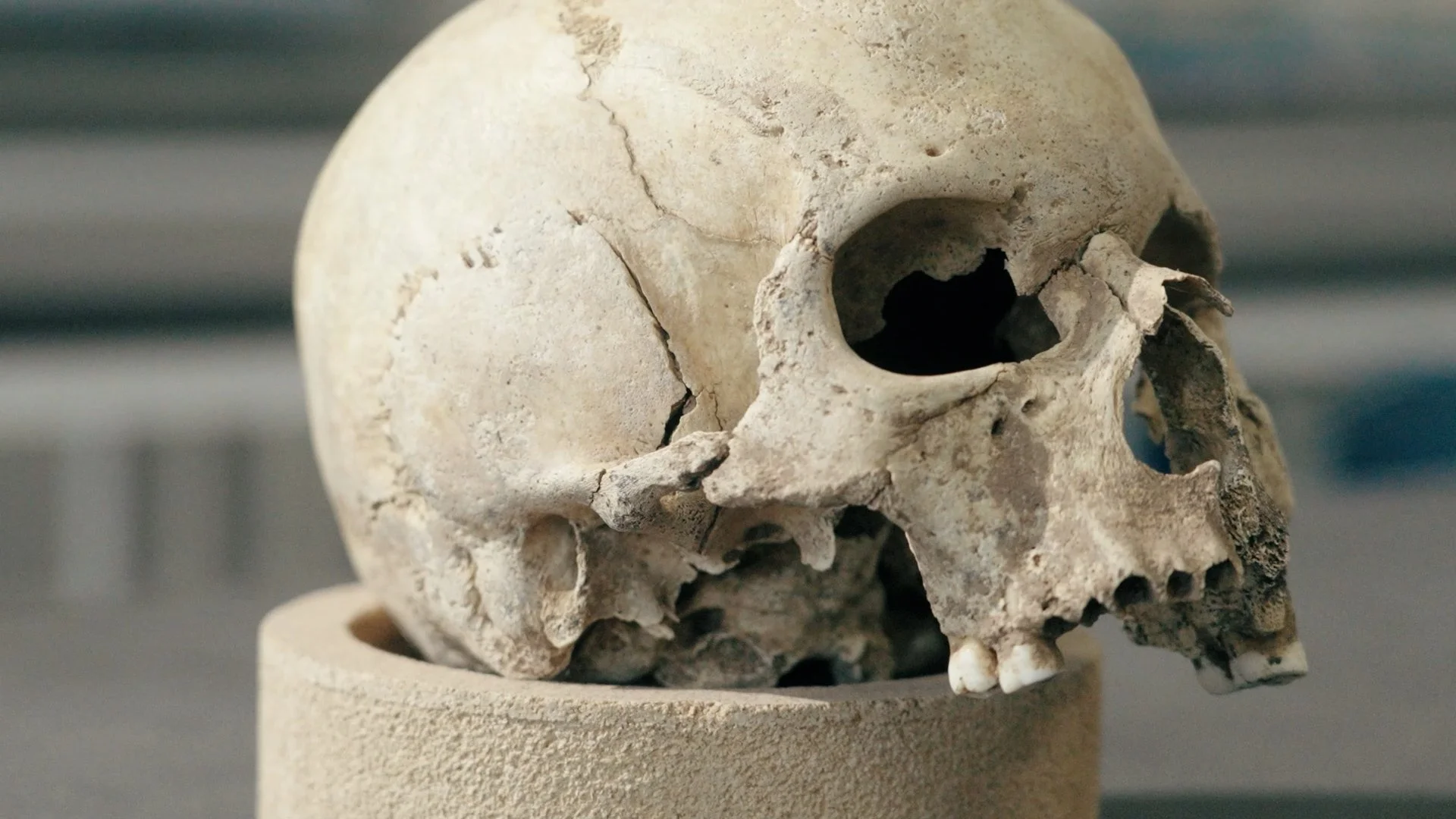 HH Medieval Ghosts [Edit 11] [H264].mp4.00_35_33_17.Still001.jpg