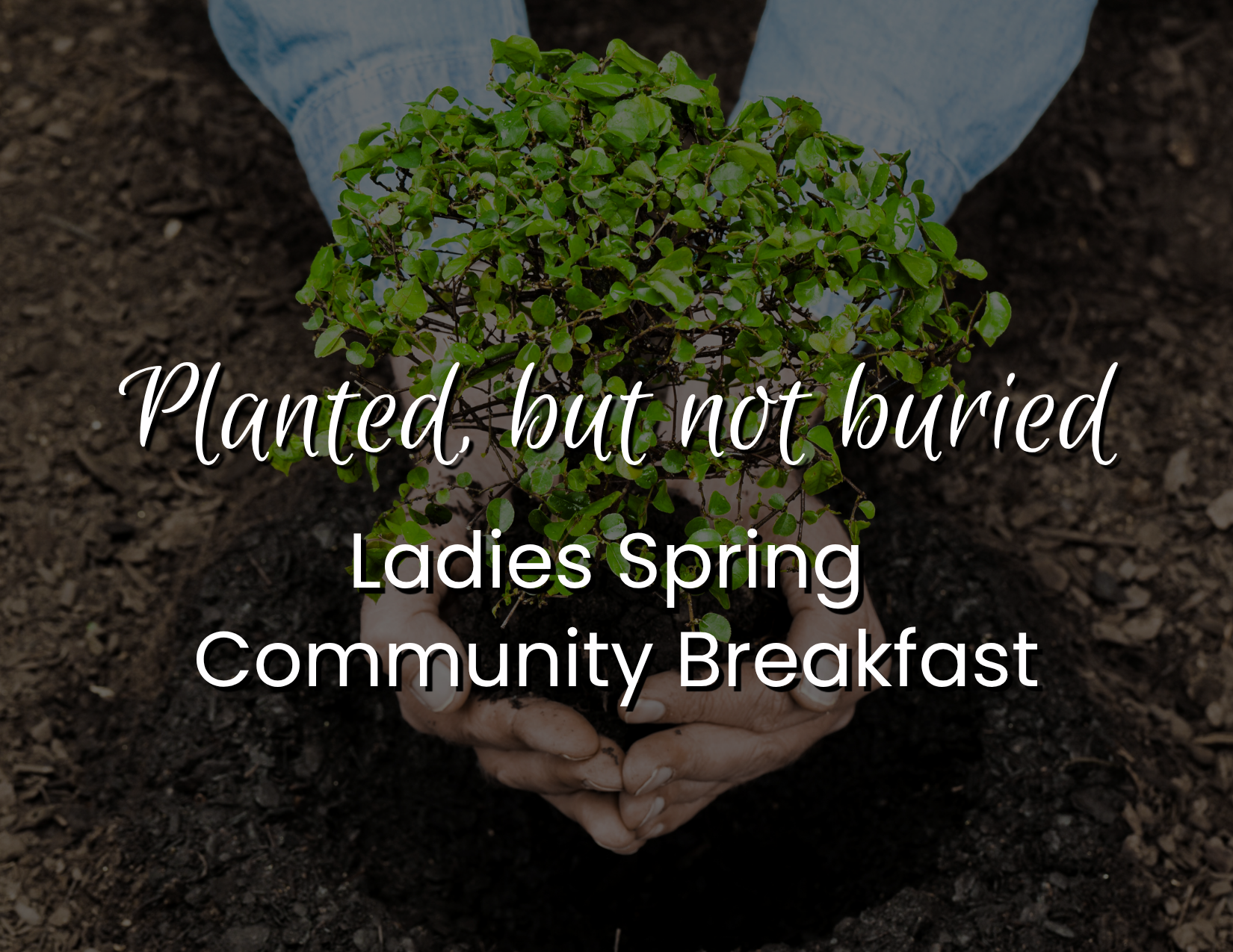 Ladies Breakfast (Postcard (US).png