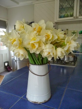 Vintage English enamel container crammed with daffodills