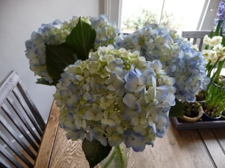 A closer view of the hydrangeas!