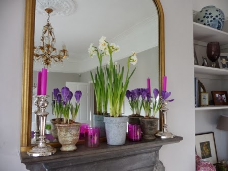 Purple Crocuses and Early Cheers on the mantelpiece