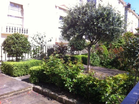 Local+Houses+&+Gardens+(11).JPG