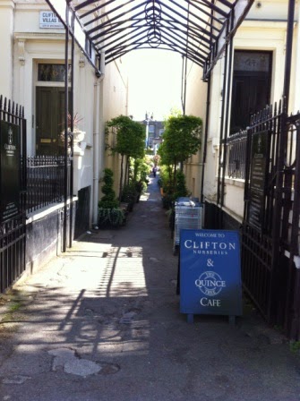 Clifton Nurseries