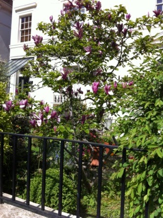 Local+Houses+&+Gardens+(9).JPG