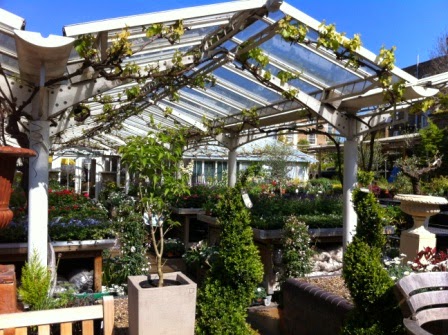 Clifton Nurseries