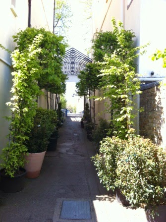 Clifton Nurseries