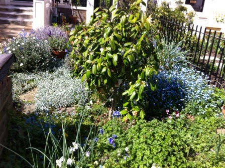 Local+Houses+&+Gardens+(3).JPG