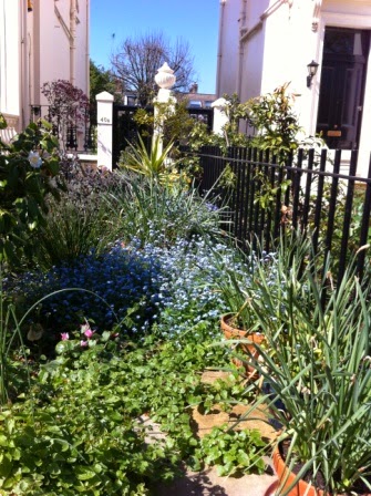 Local+Houses+&+Gardens+(4).JPG