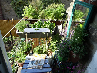 Outdoor+space1.JPG