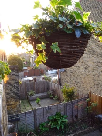Sun on our back gardens at 7.15pm!