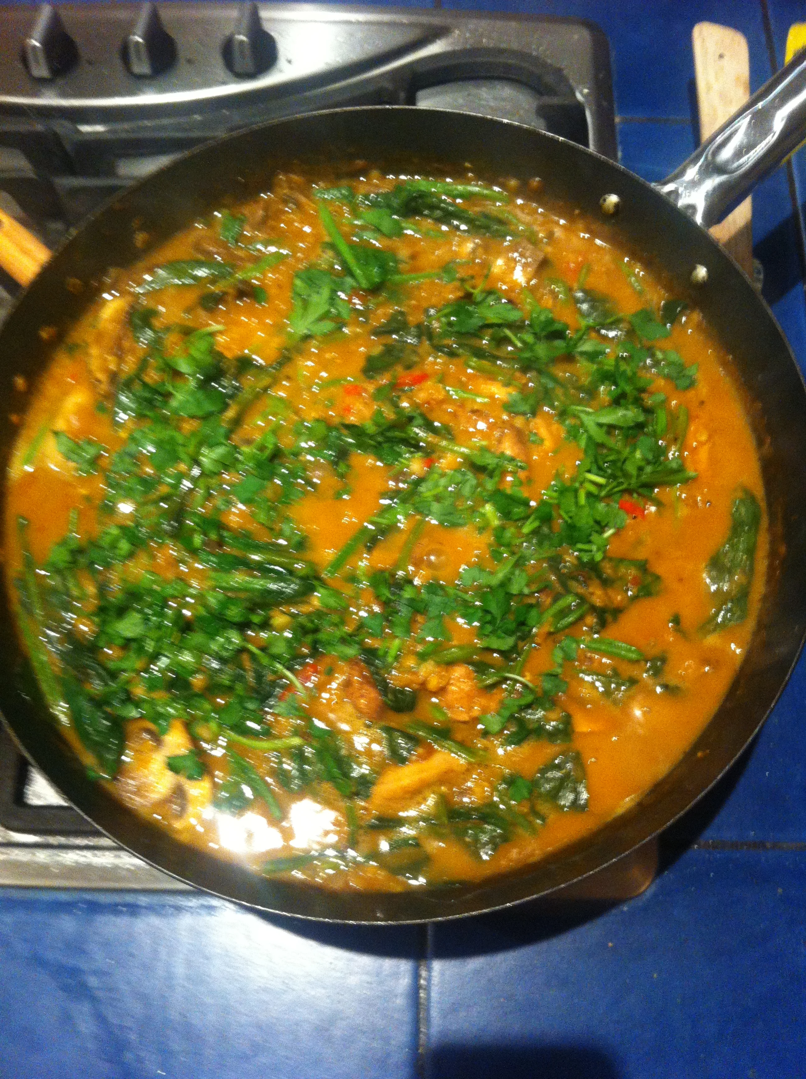 Chicken, spinach & lentil coconut curry
