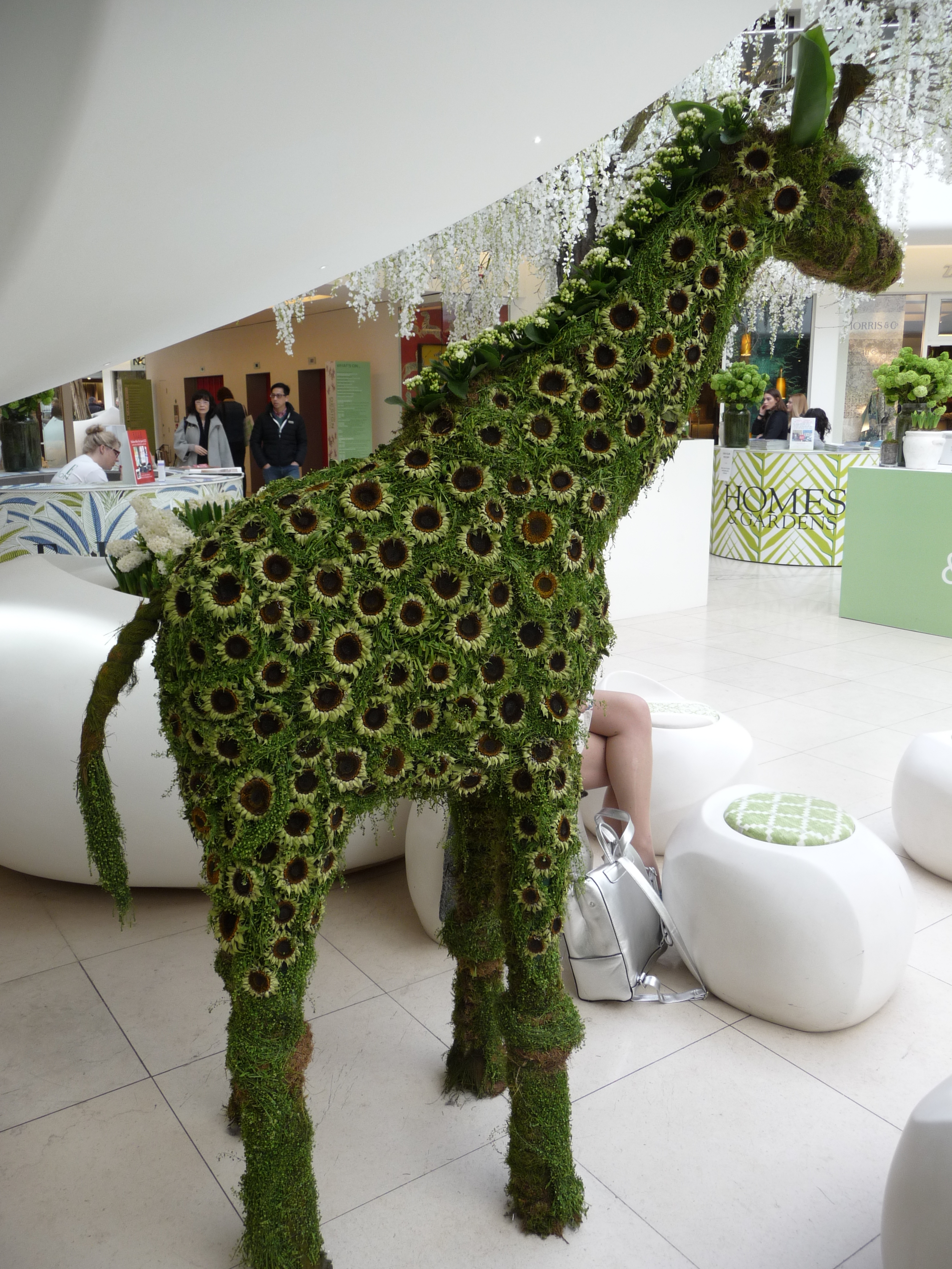  Love this giraffe made from moss and flowers 