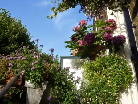 Making the most of a small outdoor space