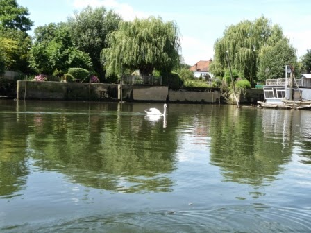 rivercruise5.jpeg