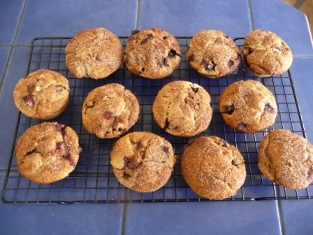 Best blueberry muffins