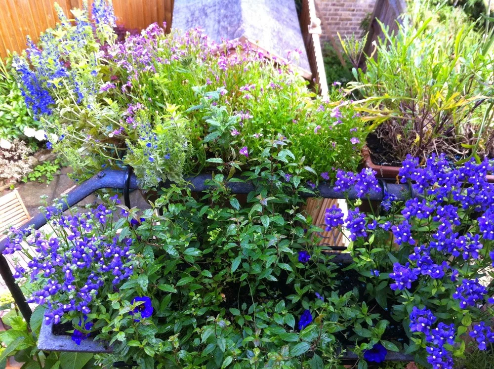 Styling your outdoor space