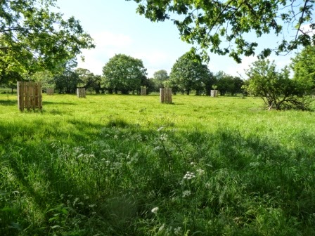 The water meadows opposite Petersham Nurseries