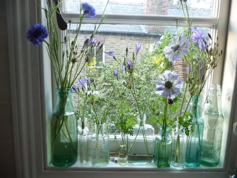 A stunning week of London's Spring growth