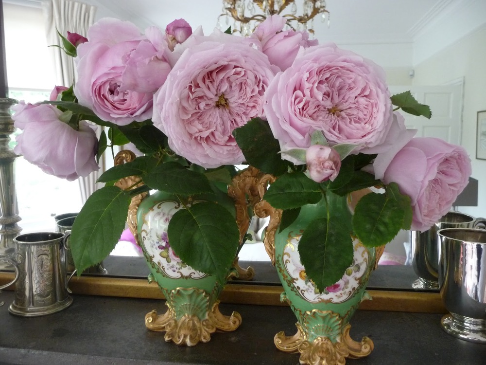 My Spirit of Freedom flowers twice a year and the pinky/mauve flowers are unbelievably beautiful, rather like a double camelia, with an intoxicating perfume. They look divine in this pair of old-fashioned vases, don't you agree?