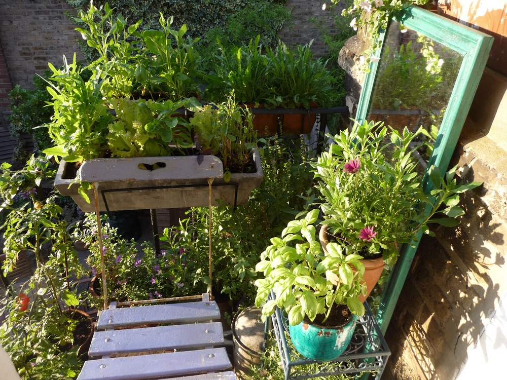 My little outdoor space outside the kitchen