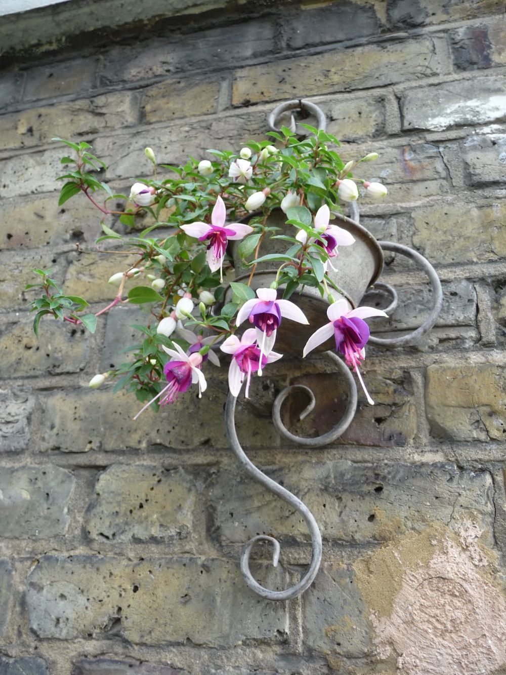 A touch of colour