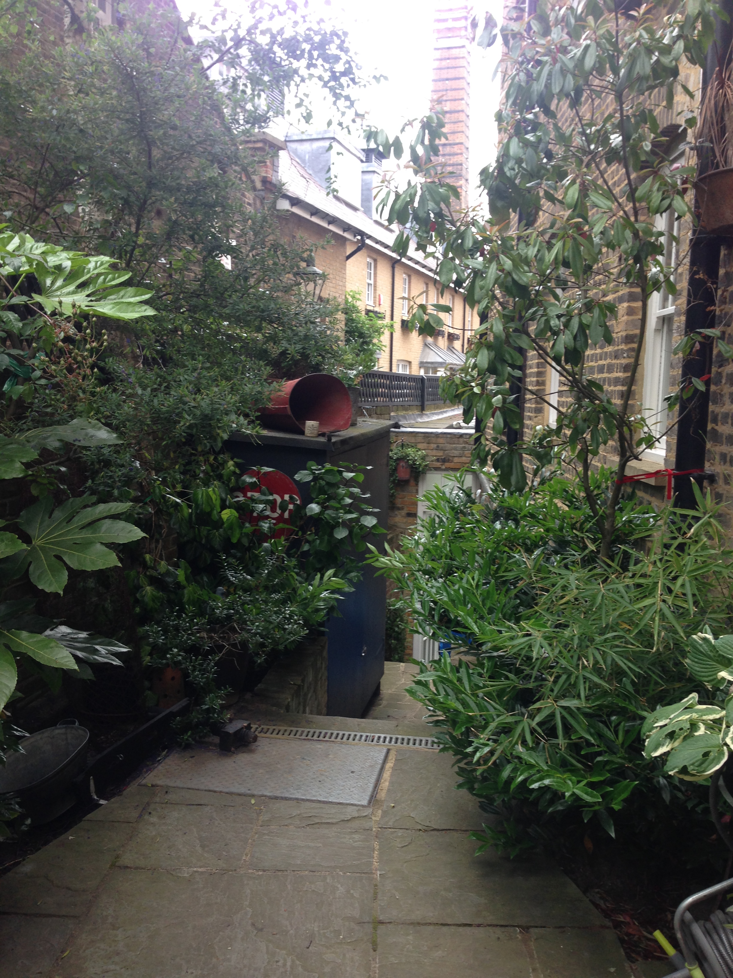 House 4 (Hampstead) - Garden