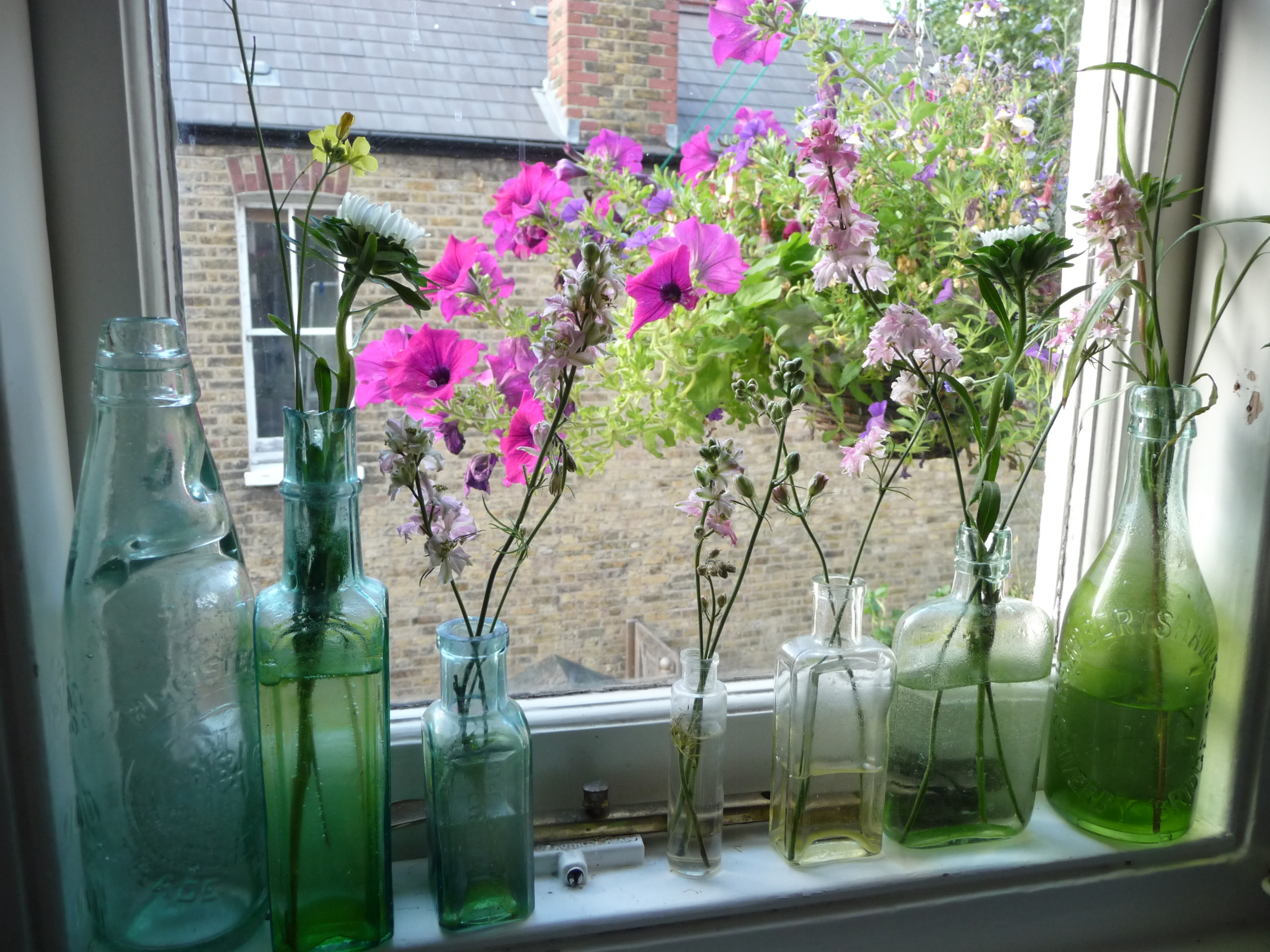  My vintage bottles on the kitchen window ledge enhanced by the hanging basket outside the window!&nbsp; I stick anything in these bottles that I remove from the stem of a flower or bits and bobs from my tiny outside space. I don't mind the green mou