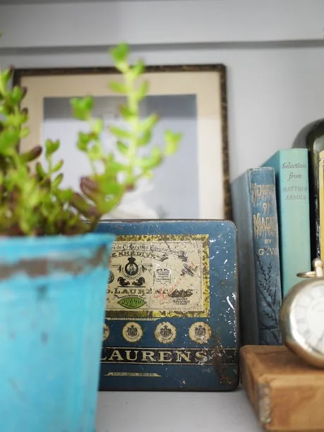 Are you a passionate collector?