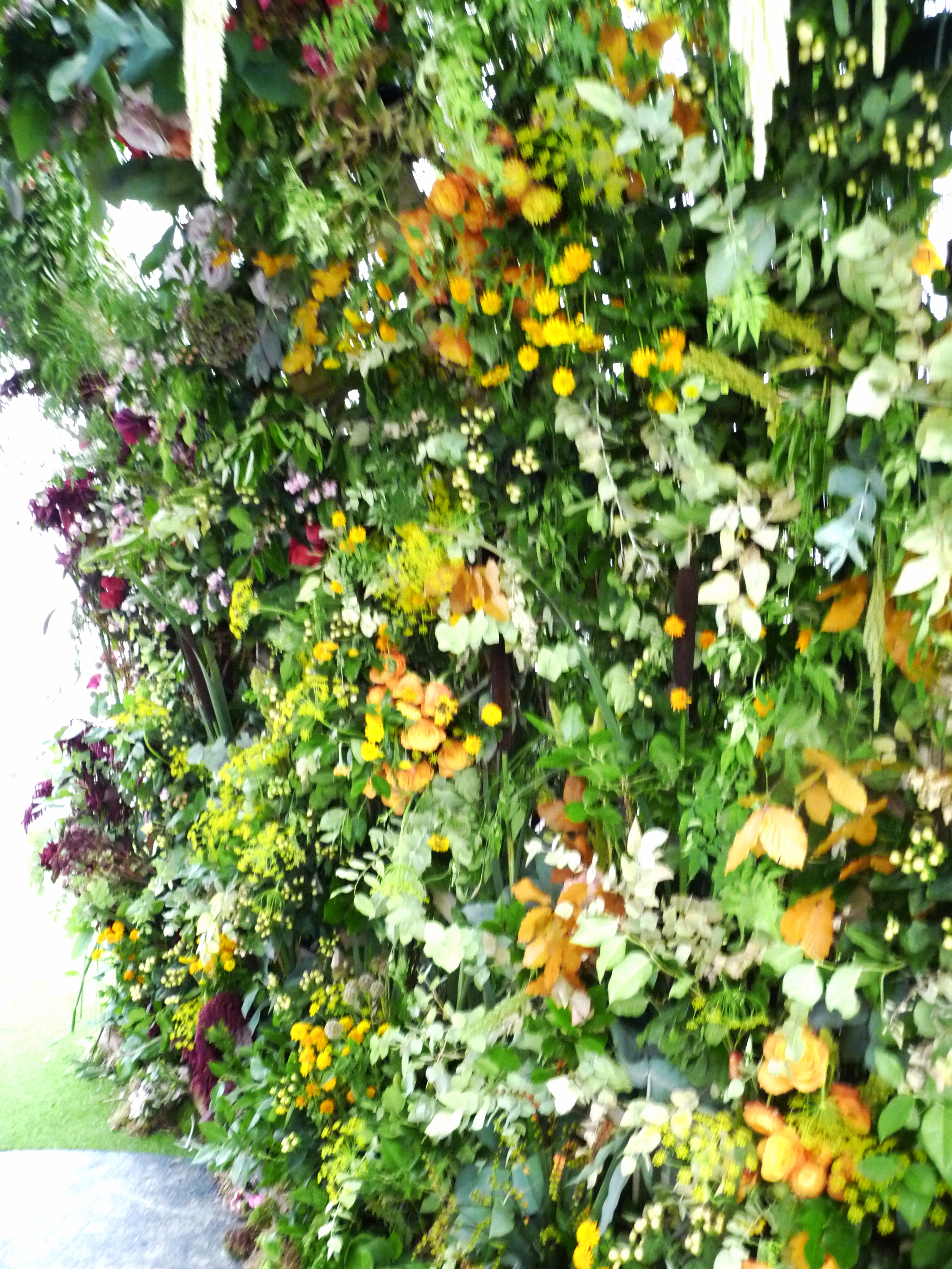  Inside the arch of flowers 